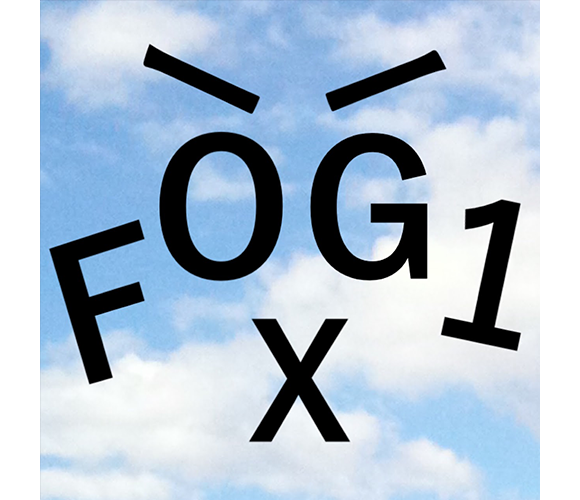 FOXG1 症候群患者家族会 facebook