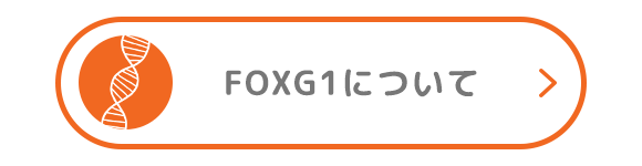 FOXG1について