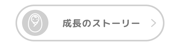 成長のストーリー